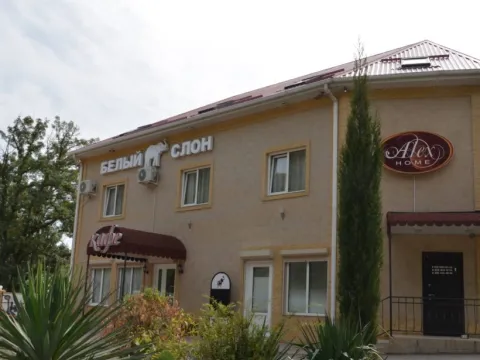 Alex Home