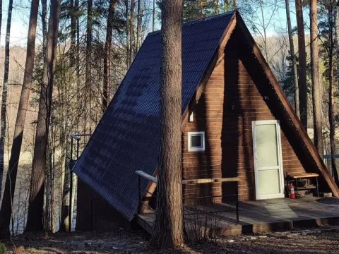 Царевич