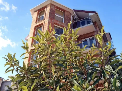 Диана Аллама Групп