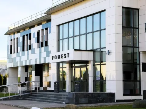 Forest