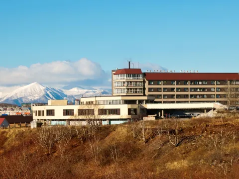 Гейзер П.Камчатский