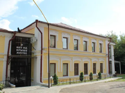 Кот на крыше(Казань)