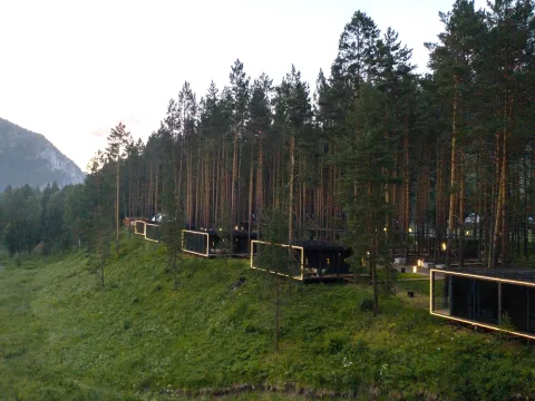 Pinewood resort&spa