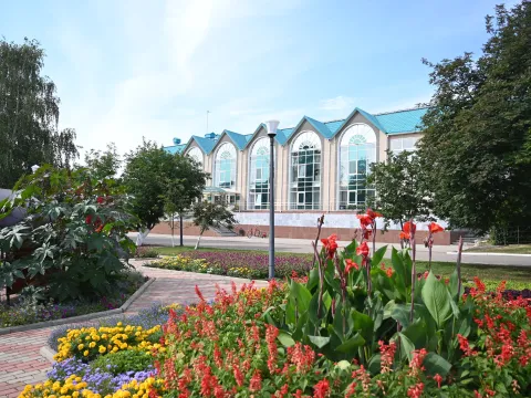 Ромашкино(Татарстан)