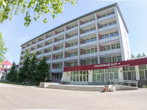 Сосновый бор (Башкирия)