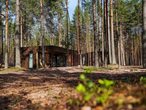 Точка на карте Видлица