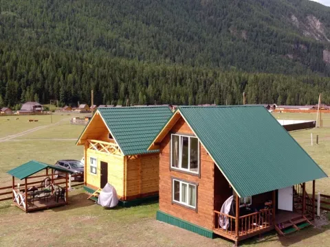 Горный орел (Акташ)