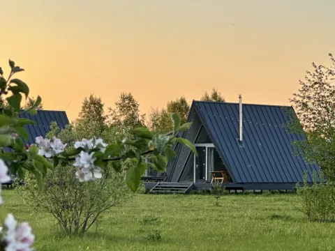 Woody Village
