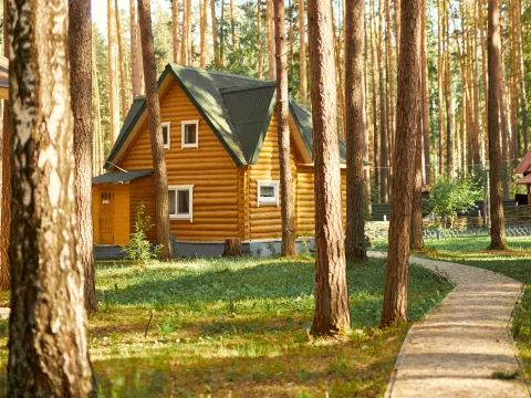 Зеленый бор (Свердл.обл)